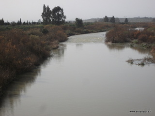 lle del Simeto-24-02-2013 10-04-39